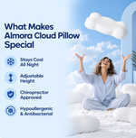 Almora Cloud Pillow